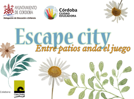 Casa Árabe participa en el programa "Conoce los patios de Córdoba" del Ayuntamiento de la ciudad