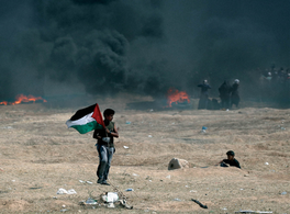 Presentación de "Palestina, la tierra estrecha" y "La infancia palestina y la supervivencia"