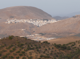 A la sombra de Córdoba: reparto de los imaziguen por el sur de al-Ándalus 
