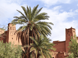 Entre el desierto y el oasis: el clima y el agua en el Darʿa medieval 