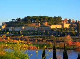 Presentación del Milenio del Reino de Badajoz 