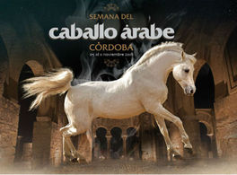 Semana del caballo árabe en Córdoba 