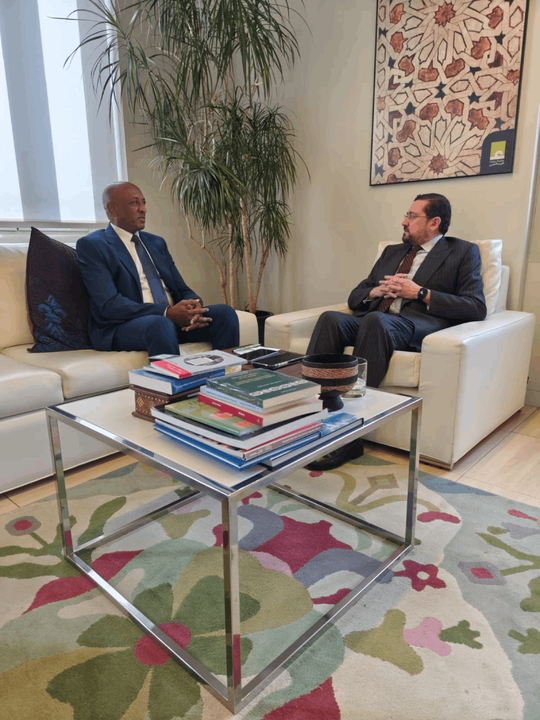Reunión con el Encargado de negocios de la Embajada de Sudán